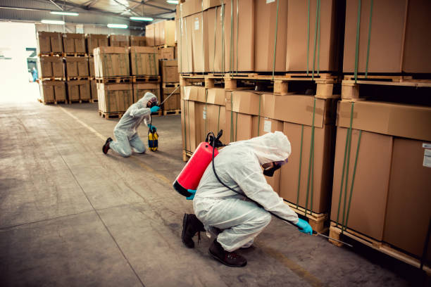 Best Ant Control Services  in Mont Belvieu, TX