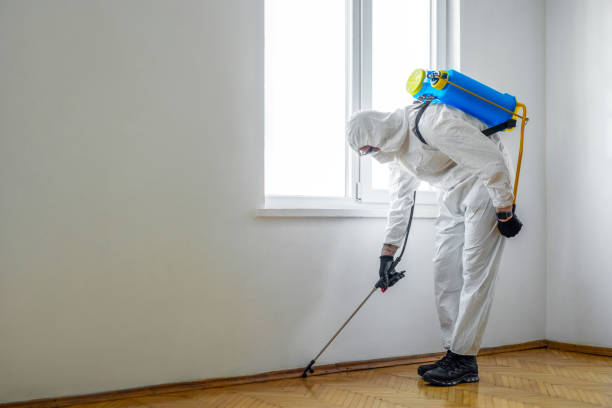 Best Best Pest Control Companies  in Mont Belvieu, TX