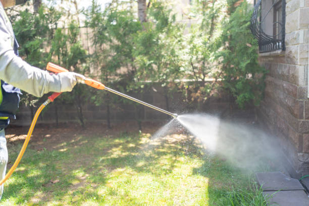 Best Affordable Pest Control Services  in Mont Belvieu, TX